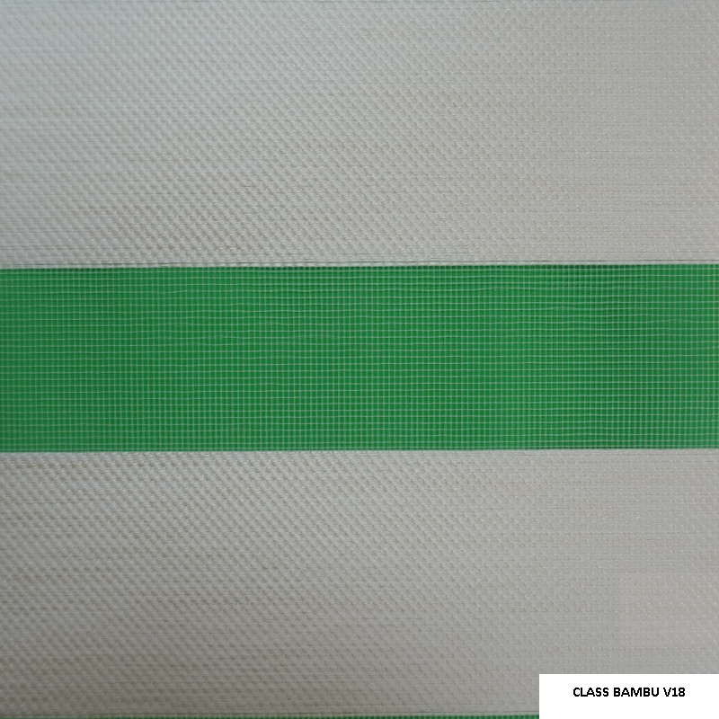 class_bambu_v18